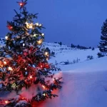 places to visit in india