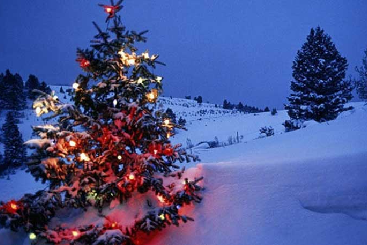 places to visit in india