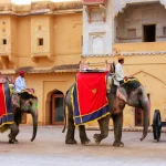 Day Trips from Jaipur