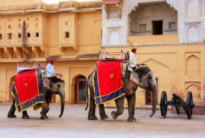 5 Perfect Day Trips from Jaipur for IIFA 2025 Visitors