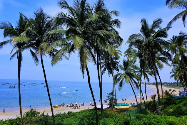 raja-sen-MzmI2I1GCnU-unsplash-636x426