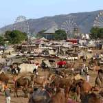 Pushkar Camel Fair Rajasthan India