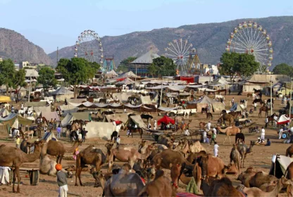 Top 10 Things to Do at the Pushkar Camel Fair Rajasthan India