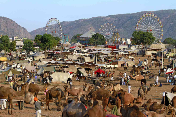 Pushkar Camel Fair Rajasthan India