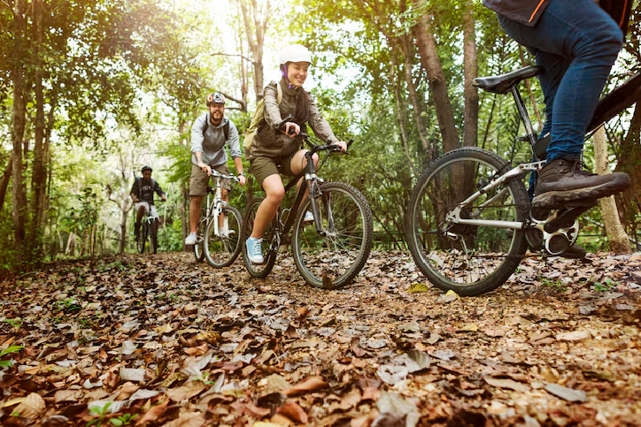 Custom Cycling Tours