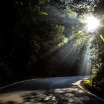 Best Places to Visit in India in January