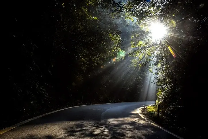 Best Places to Visit in India in January