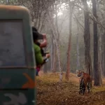Wildlife Photography Tours in India