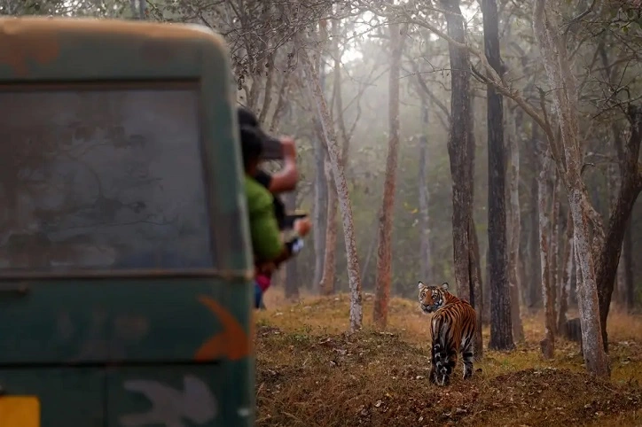 Wildlife Photography Tours in India