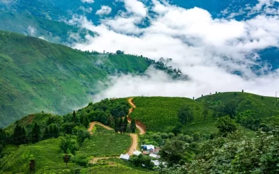 10146772561688043884dk3