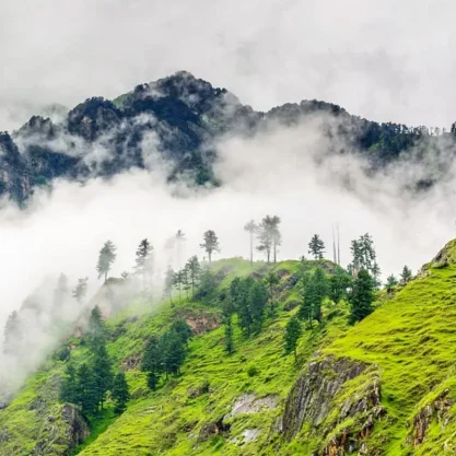 ezgif.com-gif-maker-1-1