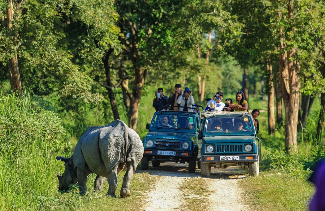 kaziranga