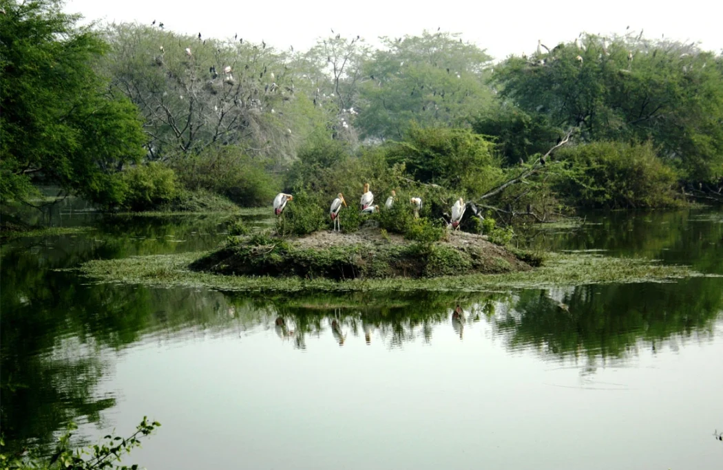 kumarakom kerala