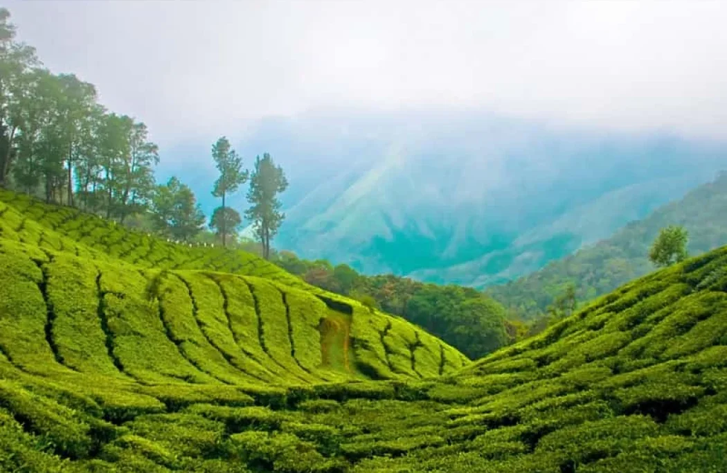 munnar