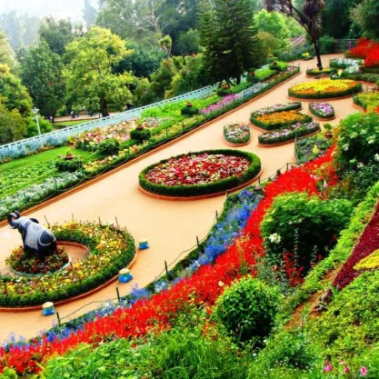 ooty