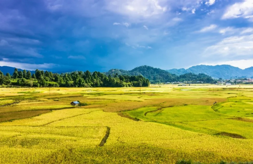 ziro-Valley