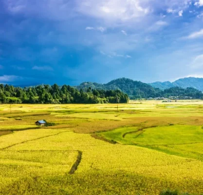 ziro-Valley